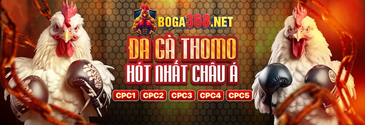 Hình ảnh chính 55lat đăng nhập